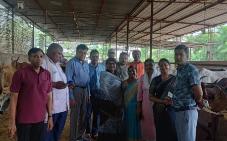 सेवा पखवाड़े के अंतर्गत गायों को चारा खिलाकर किया पौधरोपण