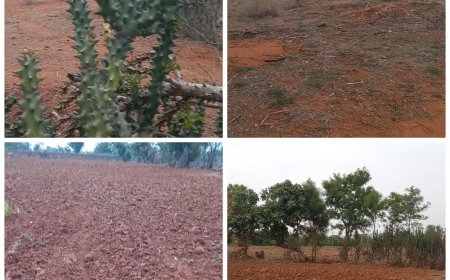 अधिकारियों के आदेश की  कर्मचारी नही करते पालना,आदेश के 20 दिन बाद भी नही हुई पत्थर गढ़ी