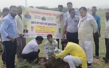 पालिका क्षेत्र में सघन वृक्षारोपण, पौधा लगा चैयरमेन ने की हरित जहाजपुर का  आगाज़