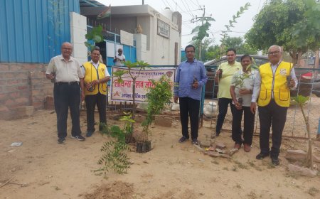 लॉयंस क्लब जोधपुर वेस्ट द्वारा किया गया वृक्षारोपण