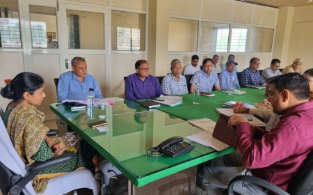 जिला कलक्टर ने राजकीय भवनों में वर्षा जल संचयन प्रणाली को दुरुस्त रखने के दिए निर्देश