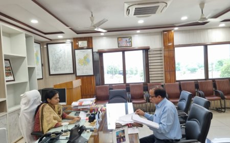 अवैध खनन को लेकर जिला कलक्टर ने ली समीक्षा बैठक