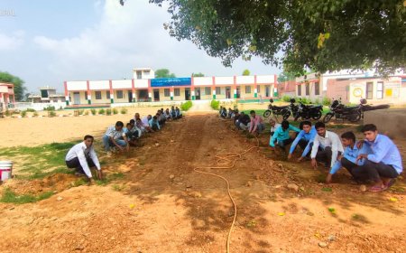 राजकीय उच्च माध्यमिक विद्यालय बामनवास कांकड़  उपखंड क्षेत्र नारायणपुर में किया गया वृक्षारोपण