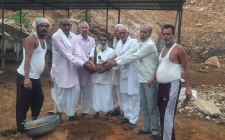 ओम शिव गौशाला पचलंगी में किया वृक्षारोपण,प्रत्येक व्यक्ति वृक्ष लगाकर उसके संरक्षण का ले संकल्प