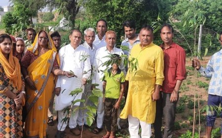 आओ मिलकर पेड़ लगायें  पर्यावरण को शुद्ध बनाएं:  जन्मदिन पर पूर्व तहसीलदार ने अनेक स्थानों पर लगाए पेड़