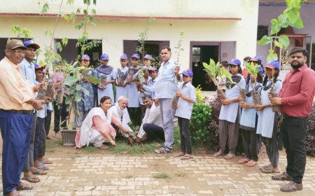 नीमला गांव के विधालय में पर्यावरण संरक्षण को लेकर किया पौधारोपण