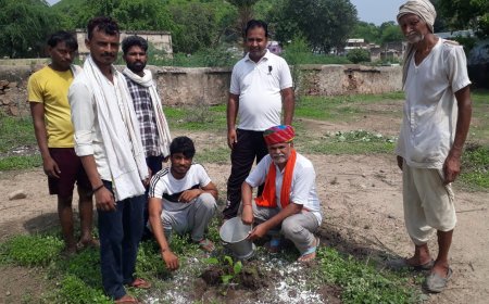 पौधरोपण कर किया हरियालो राजस्थान कार्यक्रम का शुभारंभ