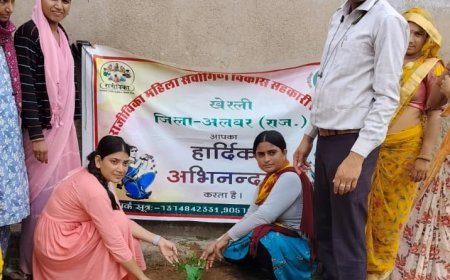 महिला अधिकार एवं विकास फाउंडेशन की ओर से लगाए पौधे