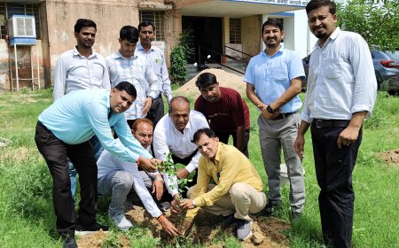 मेरा हरियालो राजस्थान मुहिम को आगे बढ़ते हुए समाज कल्याण छात्रावास में हुआ पौधारोपण