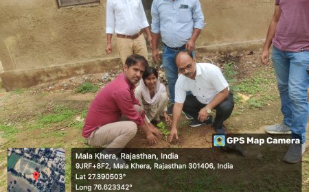 राजकीय महाविद्यालय मालाखेडा में पौधारोपण कार्यक्रम आयोजित