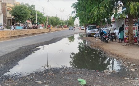 प्रशासन की लापरवाही से फैल रहीं बीमारियां