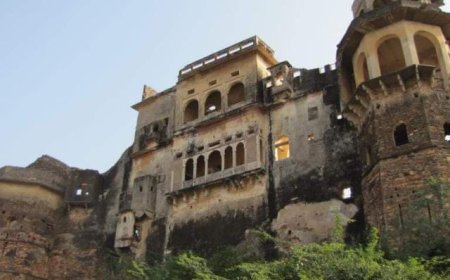 जिला प्रभारी सचिव सोनी ने किया जहाजपुर किला का अवलोकन, सफाई रखरखाव के दिए निर्देश