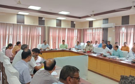 जिला कलक्टर ने ली अधिकारियों की बैठक,  सभी विभाग बजट घोषणाओं की कार्ययोजना 7 दिवस में बनायें- जिला कलक्टर