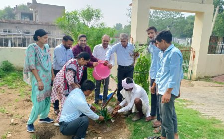 वनों को बचाने के लिए आरी व कुल्हाड़ी छोड़नी होगी - मीणा