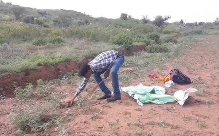 विश्व सर्प दिवस पर सर्पमित्रों ने लोगों को जानकारी देकर किया जागरूक