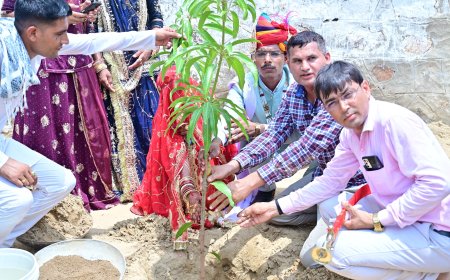 एक पेड़ के मां के नाम' के तहत वैवाहिक जीवन के शुभारंभ पर किया विद्यालय परिसर में पौधारोपण