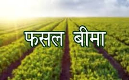 खरीफ फसलों के लिए 31 जुलाई तक करा सकते हैं बीमा