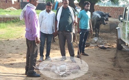 कुत्तों ने घायल किया चीतल का बच्चा: वन विभाग सरिस्का टीम ने रेसक्यू कर जंगल मे छोड़ा