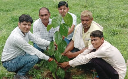 बैंक के स्थापना दिवस को लेकर की पौधारोपण कार्यक्रम की शुरुआत
