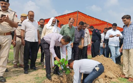 जिला कलक्टर ने गढ़ी सांवलदास में किया वृहद पौधारोपण कलक्टर ने बताया पौधारोपण का महत्व
