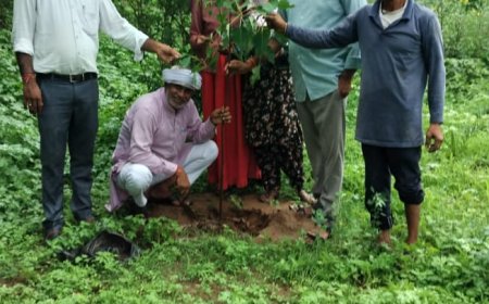 एक पेड़ मां के नाम अभियान को लेकर आमजन में उत्साह