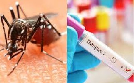 मौसमी बीमारीयो को लेकर गम्भीर नहीं अलवर जिले का चिकित्सा स्वास्थ्य विभाग: डेंगू बुखार ने दी दस्तक, एक युवक की मौत