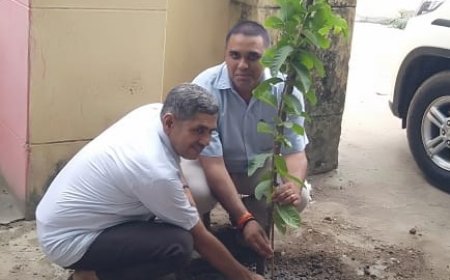 अधिशाषी अभियंता और विधायक ने दिया पौधरोपण कर पर्यावरण बचाने का संदेश