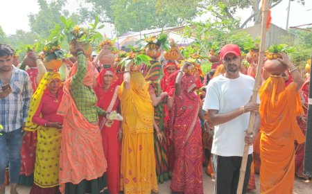 मंदिर जीर्णोद्धार व मूर्तियो की प्राण प्रतिष्ठा करवाई,  निकाली कलशयात्रा