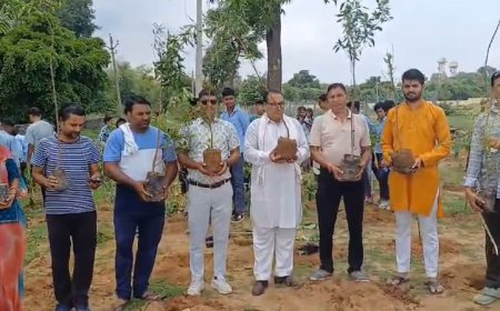 सघन वृक्षारोपण महाभियान कारोई  विधालय में लगाए 1200 पौधे