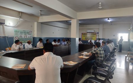 जिले में 7 अगस्त को हरियाली तीज पर एक साथ 2 लाख 50 हजार से अधिक पौधे लगाए जाएंगे, प्रदेश में लगेंगे 1 करोड़ पौधे