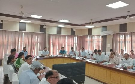 जिला कलक्टर ने ली साप्ताहिक समीक्षा बैठक 15 अगस्त तक बजट घोषणा में भूमि आवंटन की प्रक्रिया करें पूरी - जिला कलक्टर