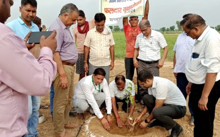 पौधारोपण अभियान के तहत लगाये फलदार पौधे