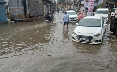 नगर पालिका लक्ष्मणगढ़ सहित क्षेत्र समस्याओं से ग्रस्त