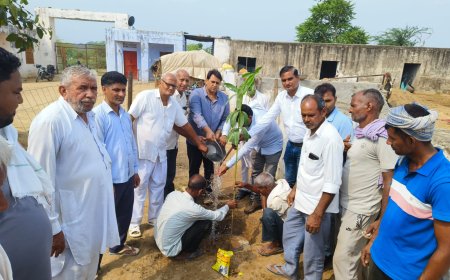 उपनिदेशक की मौजूदगी में लगाए 50 पेड़