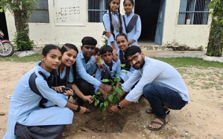 पीएम श्री महाराणा विद्यालय में अमृत अभियान के तहत लगाए छायादार पोंधे