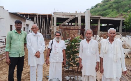 पचलंगी ओम शिव गौशाला में किया वृक्षारोपण ,गौशाला परिसर में लगाया बरगद का पेड़