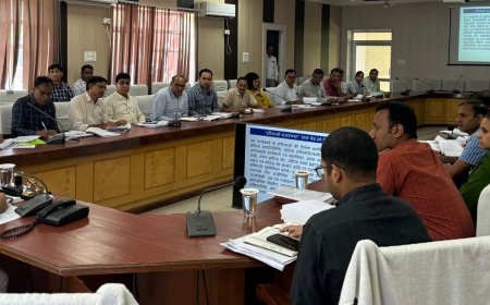 विकास अधिकारियों को लम्बित कार्य समय पर पूर्ण करने के दिए निर्देश  पौधारोपण अभियान में सक्रियता के साथ कार्य करें: जिला कलक्टर