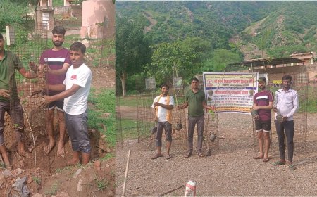 एक अर्जून ताल व पांच बरगद के पौधे लगाकर पर्यावरण बचाने का दिया संदेश : मुरारी लाल मीणा