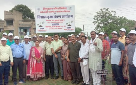 जिला कलक्टर ने विशाल वृक्षारोपण कार्यक्रम का पेड़ लगाकर किया शुभारम्भ