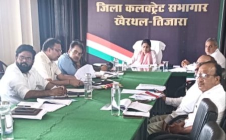 जिले में 7 अगस्त को हरियाली तीज पर एक साथ 50 हजार से अधिक पौधे लगाए जाएंगे