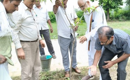 मानव जीवन के लिए जरूरी हैं वृक्ष--  ज्ञानेन्द्र रावत