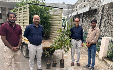 पहली बिटिया के जन्म पर 101 पौधे अस्पताल में किए भेंट