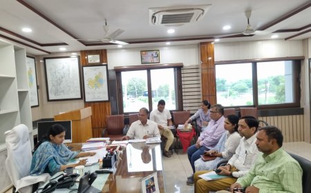 राजस्थान निवेश प्रोत्साहन योजना के तहत जिला स्तरीय छानबीन समिति की बैठक हुई संपन्न