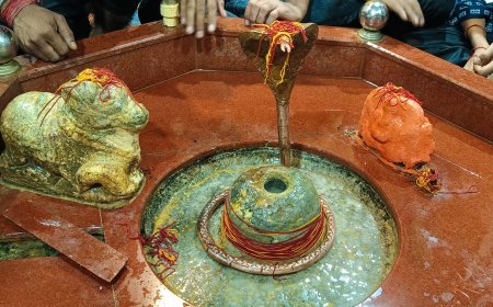 धनावता में भगवान शिव मंदिर का प्राचीन मंदिर साढे सोलह सौ वर्ष पहले नाम पड़ा खानेश्वर,  12 ज्योतिर्लिंगों की तरह भगवान शिव के साथ माता पार्वती, कार्तिक की प्रतिमा नही