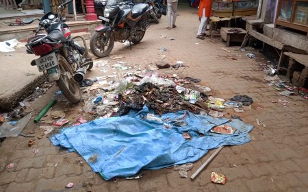 सफाई कर्मियों की हड़ताल से कस्बे में लगे जगह-जगह गंदगी के ढेर