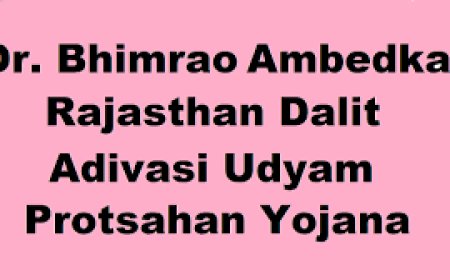डॉ. भीमराव अम्बेडकर राजस्थान दलित आदिवासी उद्यम प्रोत्साहन योजना,  विशेष जागरूकता शिविर का आयोजन 5 को वैर में होगा आयोजन