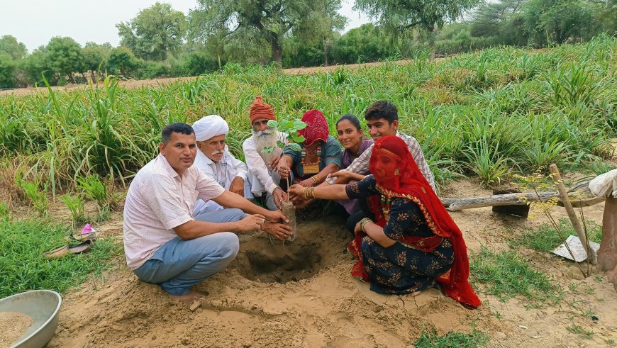 एक पेड़ मां के नाम'लगाने के आह्वान पर जन्मदिन पर किया पौधारोपण