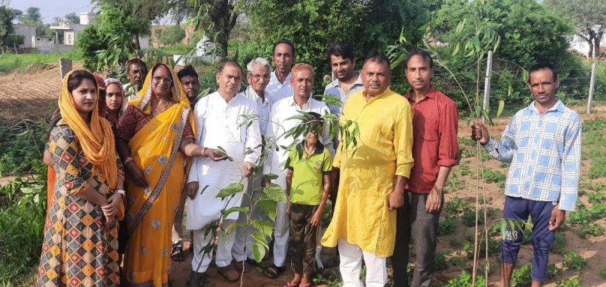 आओ मिलकर पेड़ लगायें  पर्यावरण को शुद्ध बनाएं:  जन्मदिन पर पूर्व तहसीलदार ने अनेक स्थानों पर लगाए पेड़