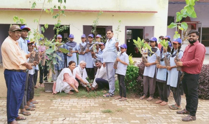 नीमला गांव के विधालय में पर्यावरण संरक्षण को लेकर किया पौधारोपण