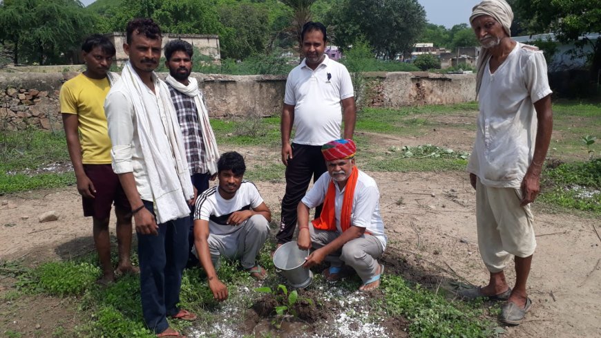 पौधरोपण कर किया हरियालो राजस्थान कार्यक्रम का शुभारंभ